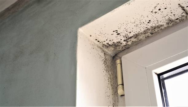 Best Indoor Air Quality Assessment  in Bellevue, NE